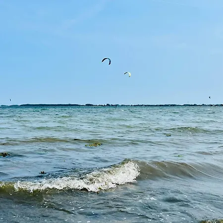 Pfefferminza * Kronsgaard